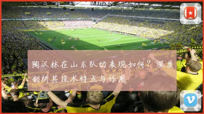 陶汉林在山东队的表现如何?深度剖析其技术特点与作用