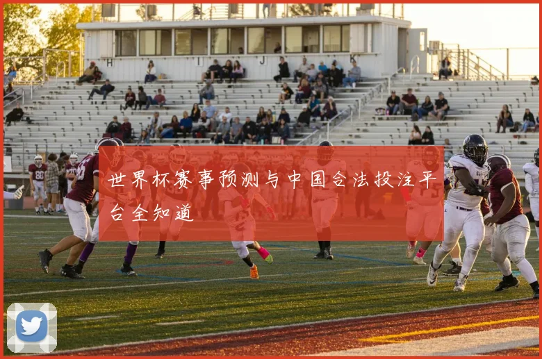 世界杯赛事预测与中国合法投注平台全知道