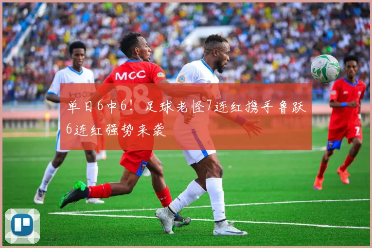 单日6中6!足球老怪7连红携手鲁跃6连红强势来袭