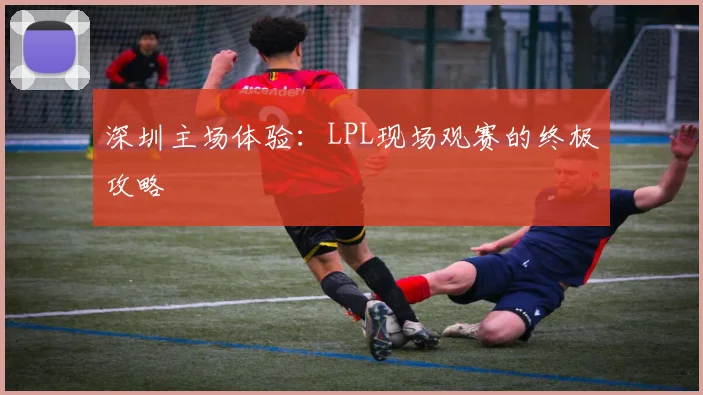 深圳主场体验:LPL现场观赛的终极攻略