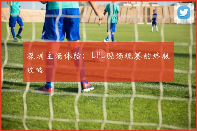 深圳主场体验：LPL现场观赛的终极攻略